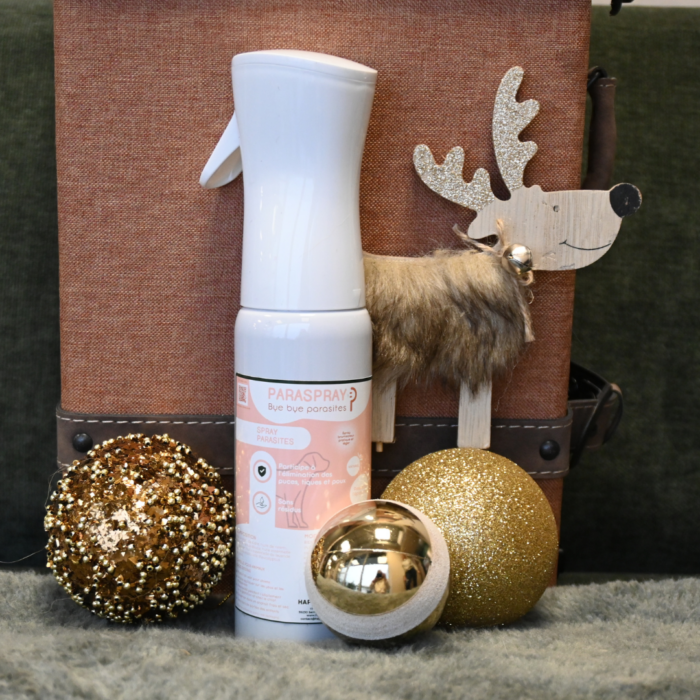 BOX DE NOËL - Parasites – Image 2